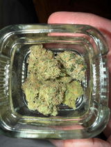 Mike G. review photo