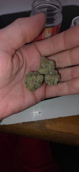 Captain$Kush review photo