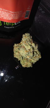 Captain$Kush review photo