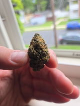 Jimmydean19 review photo