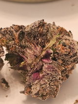 Justin K. review photo