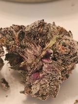 Justin K. review photo