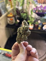 Snoop D. review photo