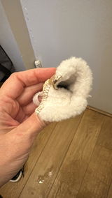 Sepi review photo
