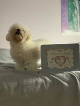 Patrycja K. review photo