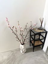 ちゅけ review photo