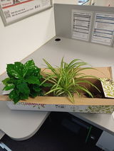 Gaby Krüger review photo