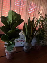 Florencia Caceres review photo