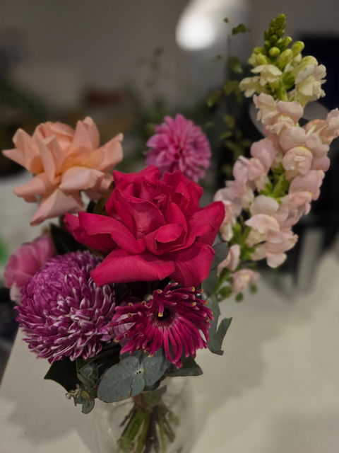 Pink Moment