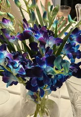 Woodsider mum review photo