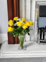 Little Mummy review photo