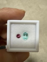 F Lee review photo