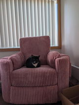 Anonymous review photo