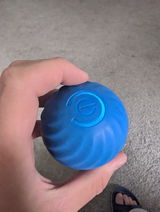 Daniel S review photo