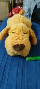 Aylin W. review photo