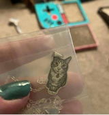 Anastasia C. review photo