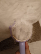Jolette D. review photo