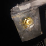 BrizzlSizzzl review photo