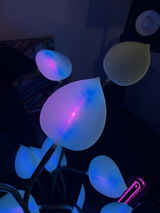 REVILO review photo