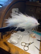 Carl Calamusa review photo