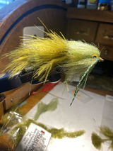 Carl Calamusa review photo
