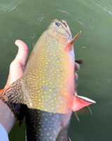 Darren Huntsman review photo