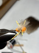 Carl Calamusa review photo