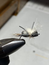 Carl Calamusa review photo