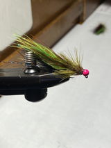 Carl Calamusa review photo