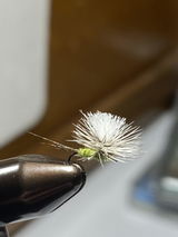 Carl Calamusa review photo