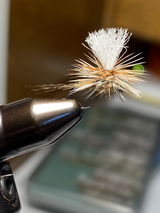 Carl Calamusa review photo