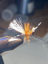 Carl Calamusa review photo
