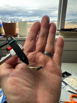 Ty Sobol review photo