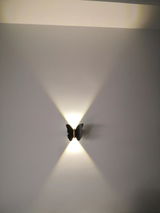Susanna review photo