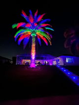 Cape C.L. review photo