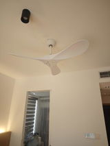 Joann N. review photo