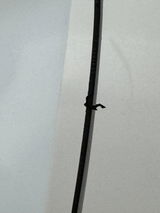Landis review photo