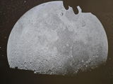 Victoria review photo