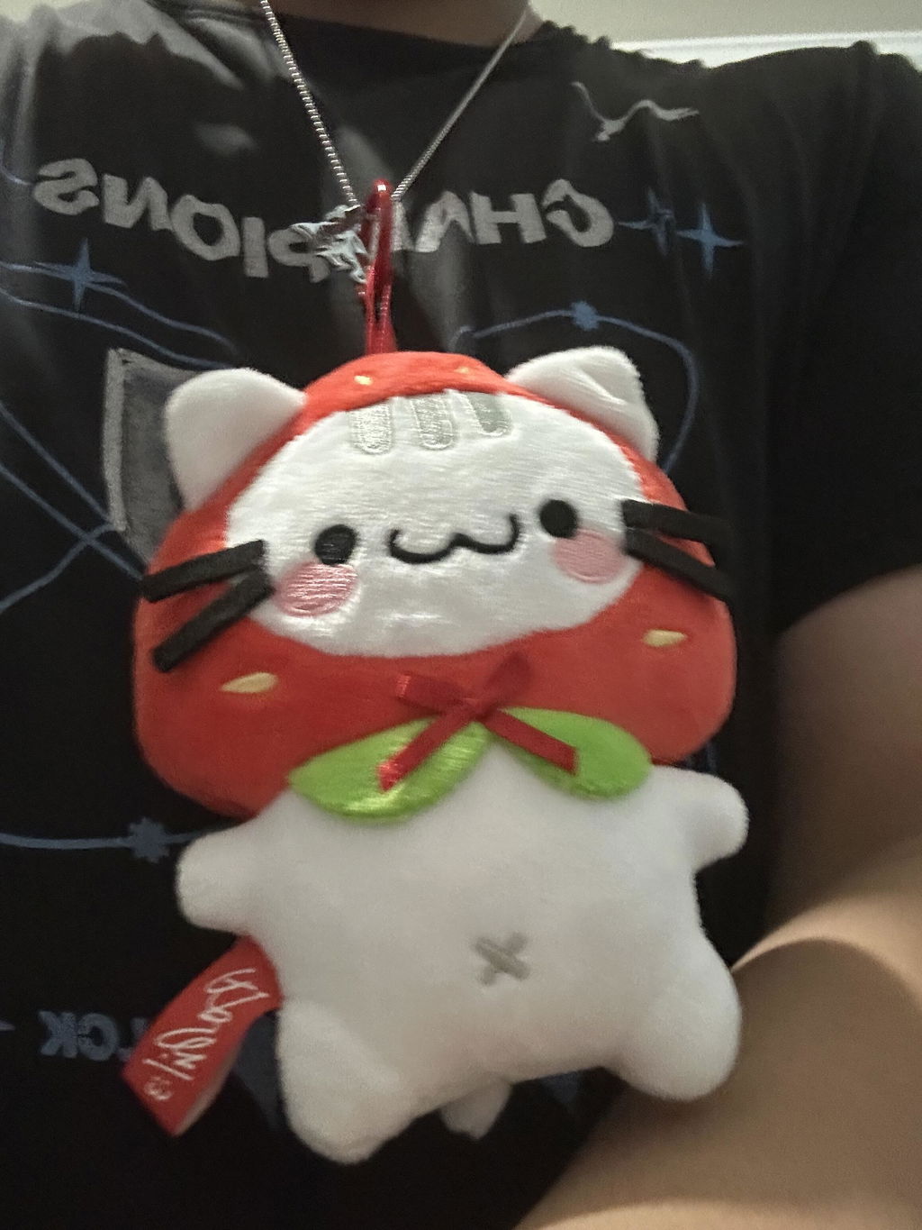 Basil Fruit Cats: Collectible Plush Blind Box – FlyQuest