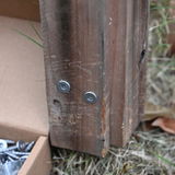 Trevor Hayes review photo