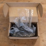 Ryan review photo