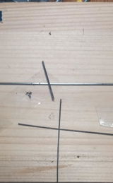 Wolfgang R. review photo