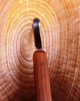Baykuksa review photo