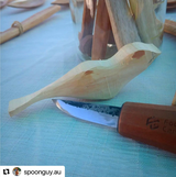 SpoonGuy review photo