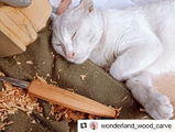 Wonderland_wood_carve review photo