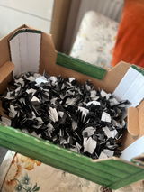 Philip A. review photo