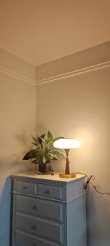 Harrison Forde review photo