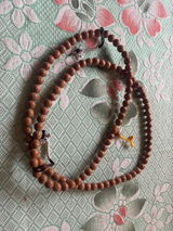 Rinchen Thendup Bhutia review photo