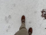 Mark C. review photo