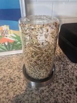 Trang M. review photo